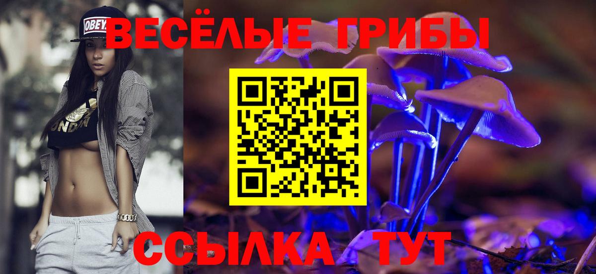 Печора  Псилоцибиновые грибы мицелий  Вход с VPN  Псилоцибиновые грибы Magic Shrooms 